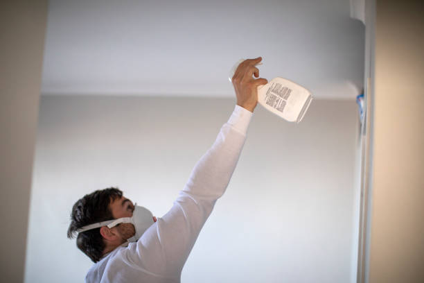 Best Mold Cleaning Services  in Villanova, PA