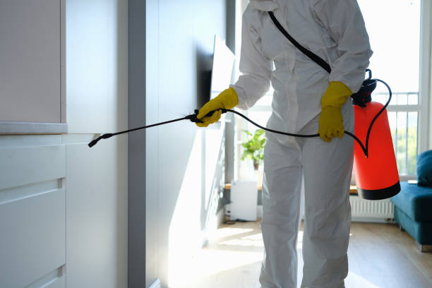 Best Mold Testing  in Villanova, PA