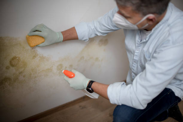 Best Mold Testing  in Villanova, PA
